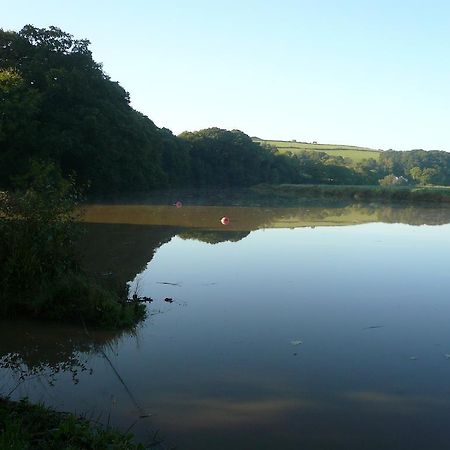 Rumleigh Farm Bere Alston Buitenkant foto