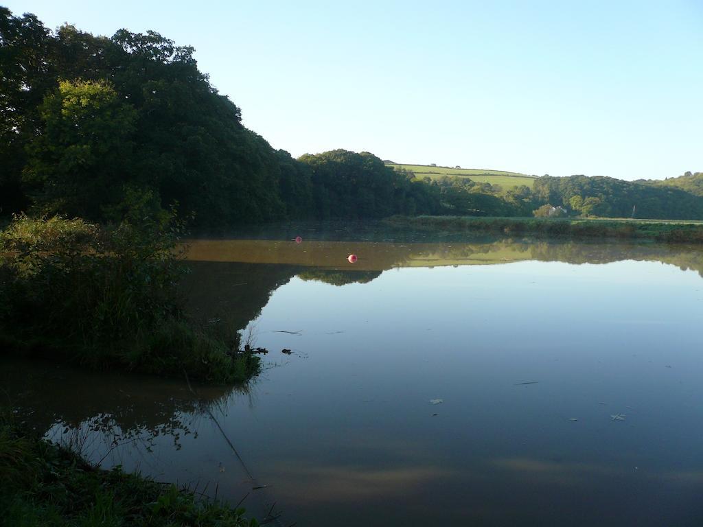 Rumleigh Farm Bere Alston Buitenkant foto